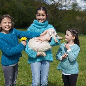 Nos chevreaux angora en photo
