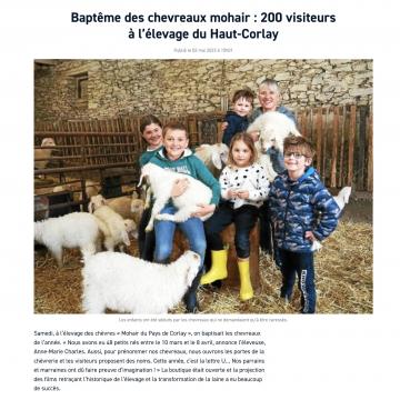 Nos chevreaux angora en photo