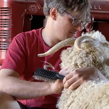 Vid&eacute;o "La vie des ch&egrave;vres Angora" 