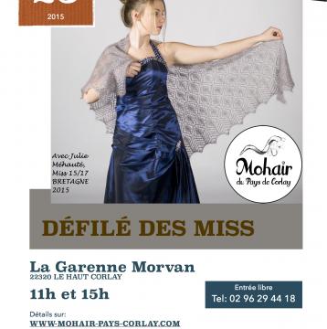 Dimanche 25 octobre - Défilé mohair avec Miss Bretagne