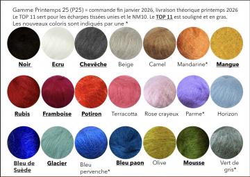 Choisir la couleur qui vous va bien