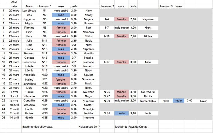 Naissance des chevreaux 2017